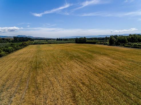 46 Cromarty Drive, Martinborough
