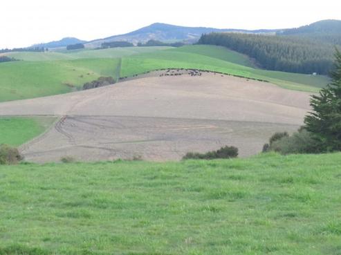 224 Findlays Road, Waianakarua