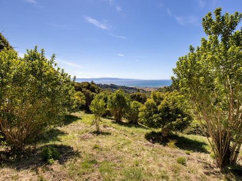 103 Todd Valley Road, Todds Valley
