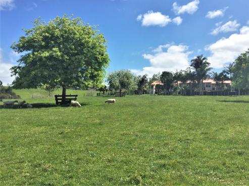 71 Sandys Road, Kerikeri Surrounds