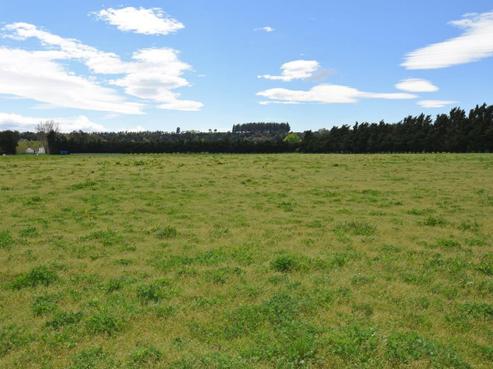 82B Moiki Road, Martinborough