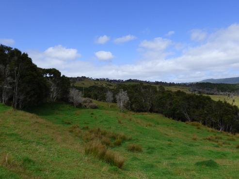 4265 State Highway 1, Mangamuka