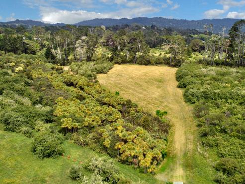 29 Shaw Road, Oratia