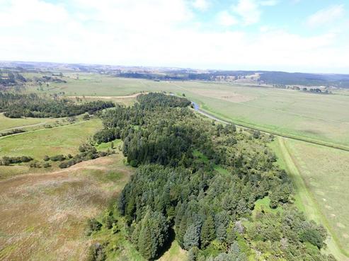 479 Opanake Road, Dargaville Surrounds