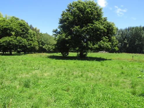50 Mill Road, Ohaupo