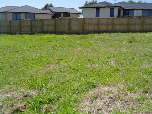 16 Andrew Hilton Close, Morrinsville
