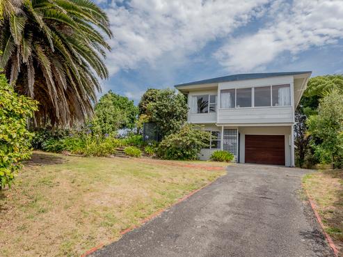 20 Hughes Street, Waikanae Beach