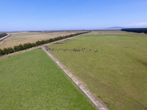 26 Awarua Siding Road, Bluff