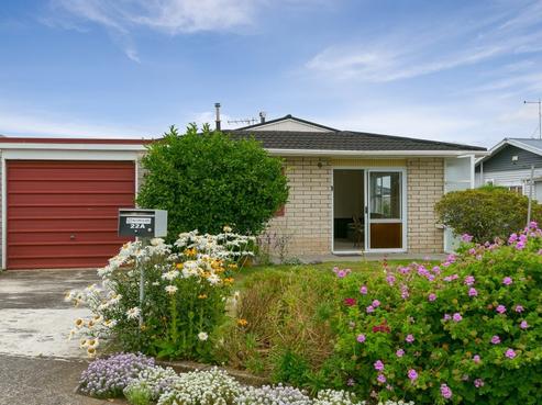 22A Ballance Street, Lower Vogeltown