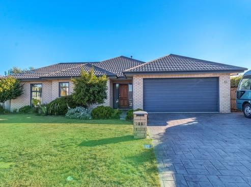 22 Donatello Drive, Rolleston