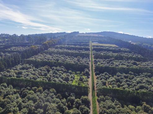412 Whatitiri Road, Poroti