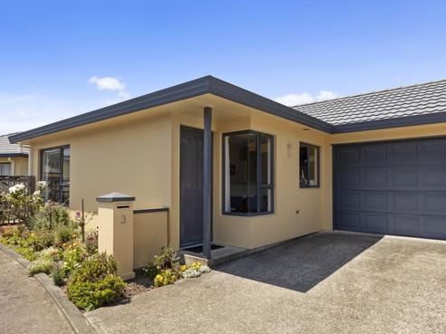 3/58A Molesworth Street, Taita