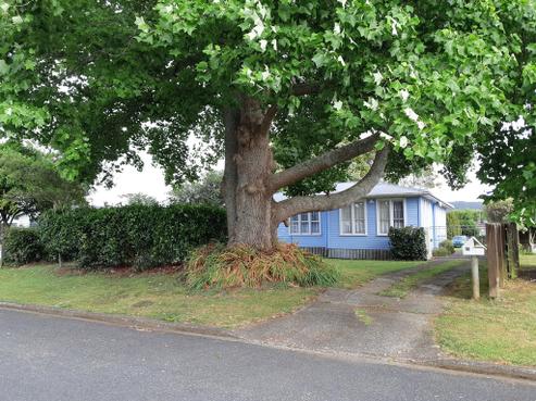 10 Kowhai Avenue, Kaikohe