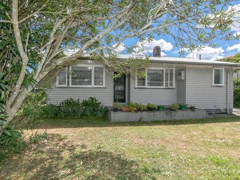 205 Clyde Street, Hamilton East