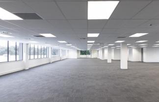 Fabulous Full Floor Opportunity