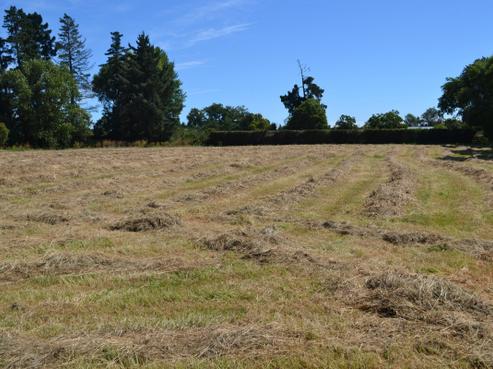20 Dunlops Road, Rangiora