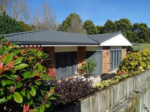 63 Shaw Avenue, Paeroa