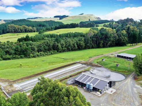 3629 Puketitiri Road, Hastings Country