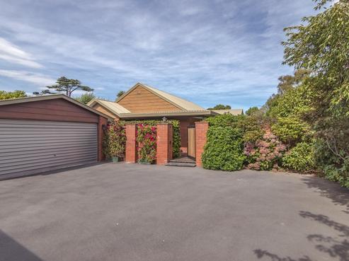 111B Hamilton Avenue, Ilam