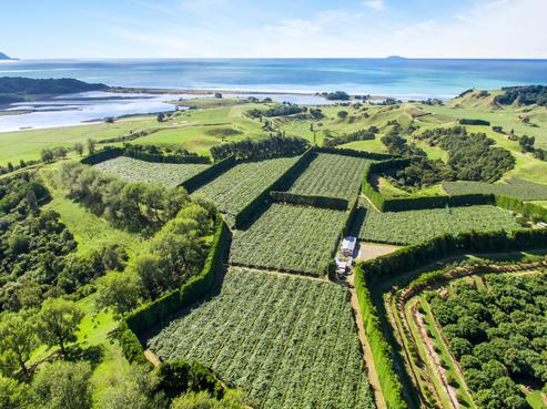 1272C Waiotahi Beach Road, Opotiki and Surrounds