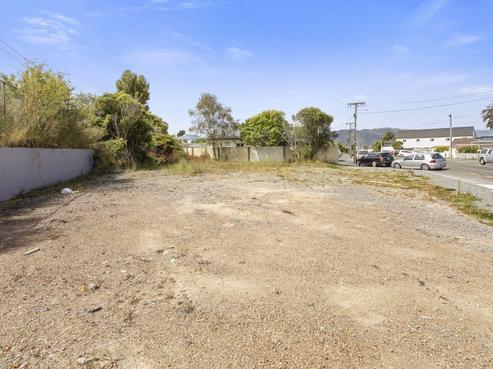 39 Riddlers Crescent, Petone