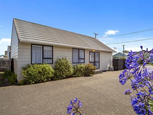 22 Plunket Avenue, Petone