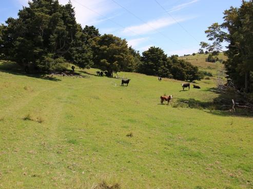 2821 State Highway 1, Mangamuka