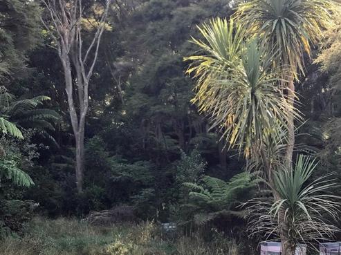 14 Goldfields Road, Karangahake