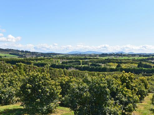 1423 State Highway 14, Maungatapere