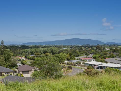 110 Kakariki Grove, Waikanae