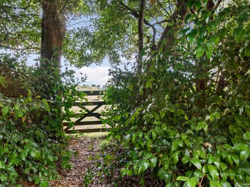 44 Kauri Road, Onewhero