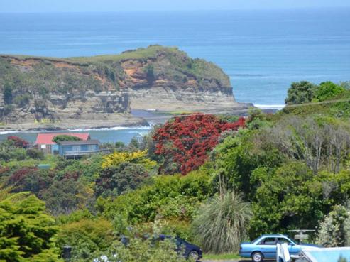 59 North Street, Mokau