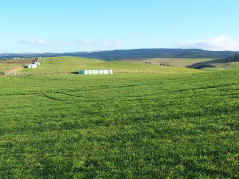 220 Whartons Road, Maheno