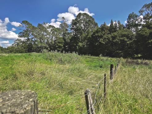 451 Waitoki Road, Wainui