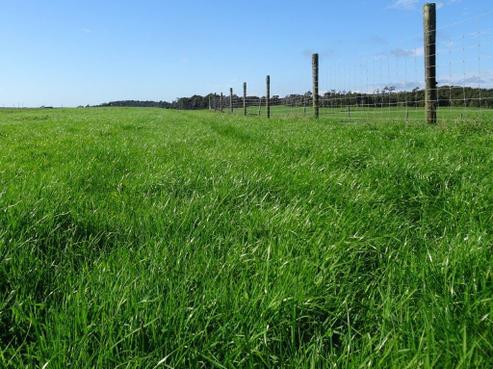 713 Ruatapu Road, Hokitika