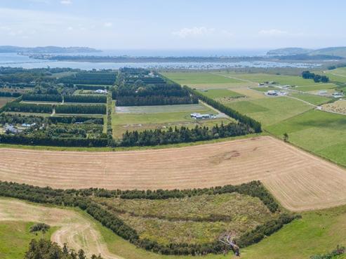 279A Takatu Road, Tawharanui Peninsula