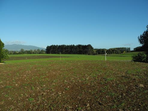 77 Day Road, Te Awamutu