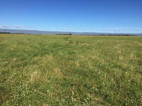 560 Gimmerburn-waipiata Road, Ranfurly