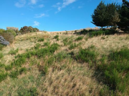 84 Aln Street, Oamaru