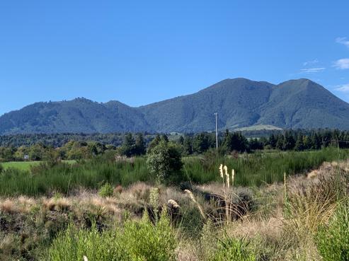 16 Kara Place, Wharewaka