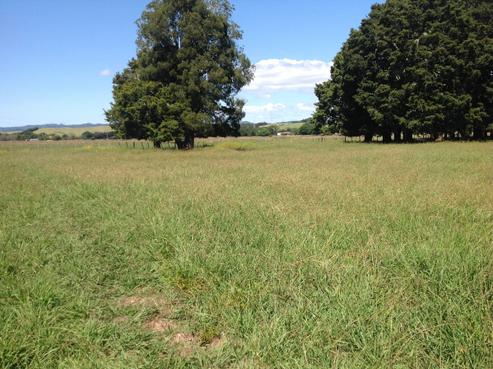 3838 State Highway 1, Waipu