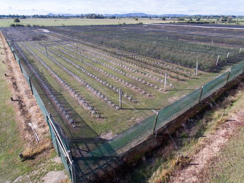 3200 Cambridge Road, Rotoorangi