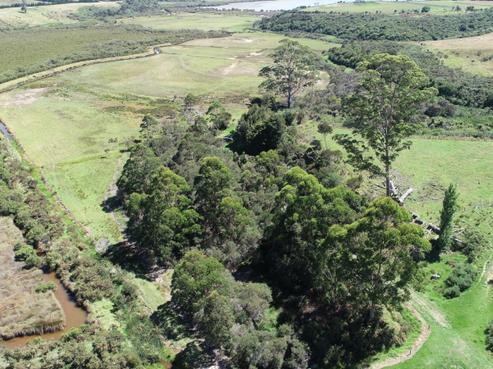 409 Redcliffs Road, Kerikeri