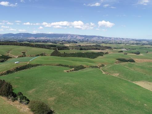 138 Middle Road West, West Otago Surrounds