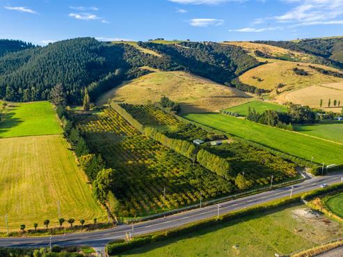 638 Outram-mosgiel Road, Outram