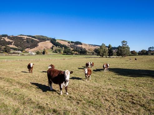 232 Main South Road, East Taieri