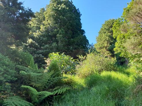 182 Rakautapu Road, Kohukohu
