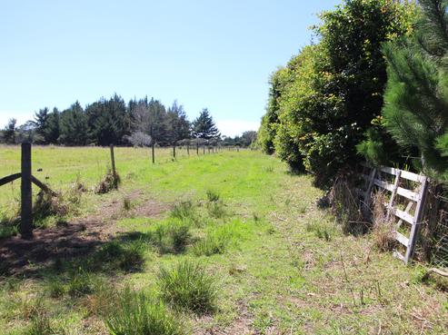 347 Kimberley Road, Houhora