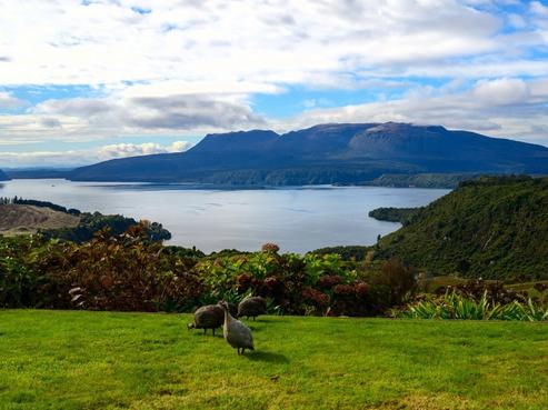 1064A Tarawera Road, Lake Tarawera