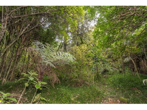 206 Scenic Drive, Titirangi